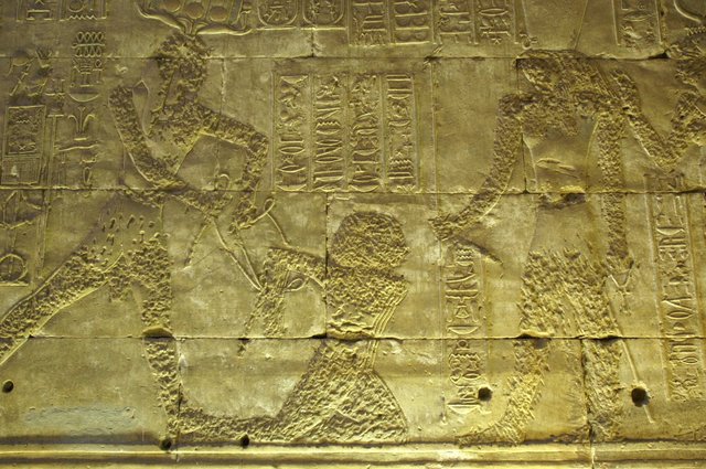2007_egypttrip039